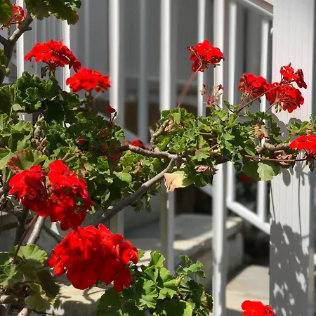 Rita's Beachfront House Hébergement de vacances