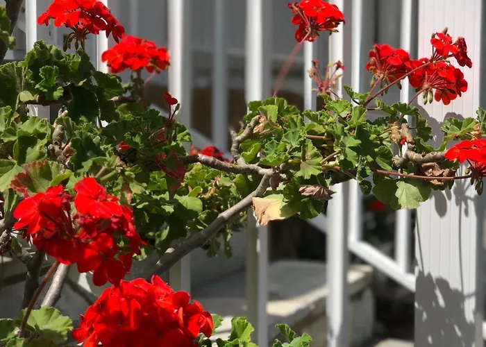 Rita's Beachfront House Feriehus