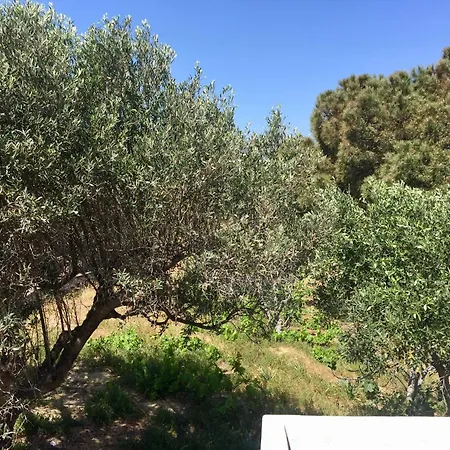 Rita's Beachfront House בית נופש פארוס