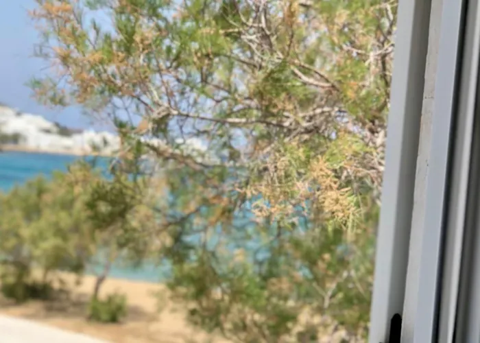 Rita's Beachfront House Casa vacanze *