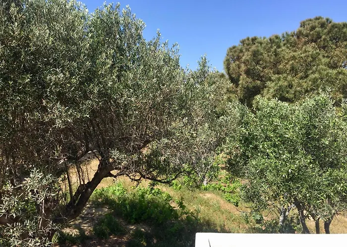 Rita's Beachfront House Casa vacanze Paro